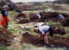 Investigaciones en Chulite