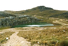 Laguna