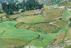 Mollepata