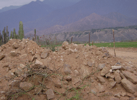 Destrucción>Estructura Chimu arrazado por maquinaria
<TD valing=