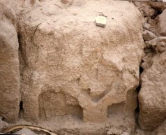 Destrucción de Huaca Faña>Detalles expuestos a la intemperie se 
deterioran con el transcurso de los dias.
<TD valing=