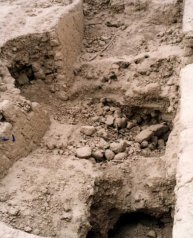 Destrucción de Huaca Faña>Otra vista del forado abierto.
<TD valing=