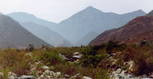 Quebrada del Alto de la Guitarra