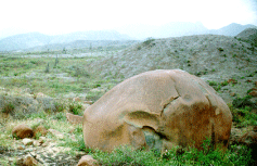 Representación antropomorfa