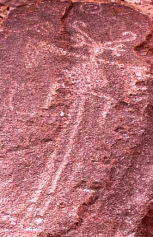 Libelula