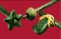 Instrumentos de Guerra