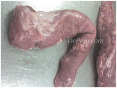 Lomito fino de cerdo
