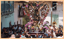Tradicional Procesin.