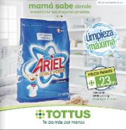 Limpieza Mxima noviembre
