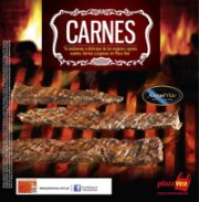 Carnes  C02-13