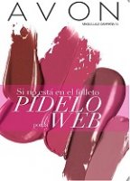 Si no est en el folleto, PDELO por la WEB C15-13