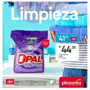 Especial limpieza - setiembre