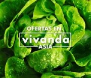 Ofertas en Vivanda Asia