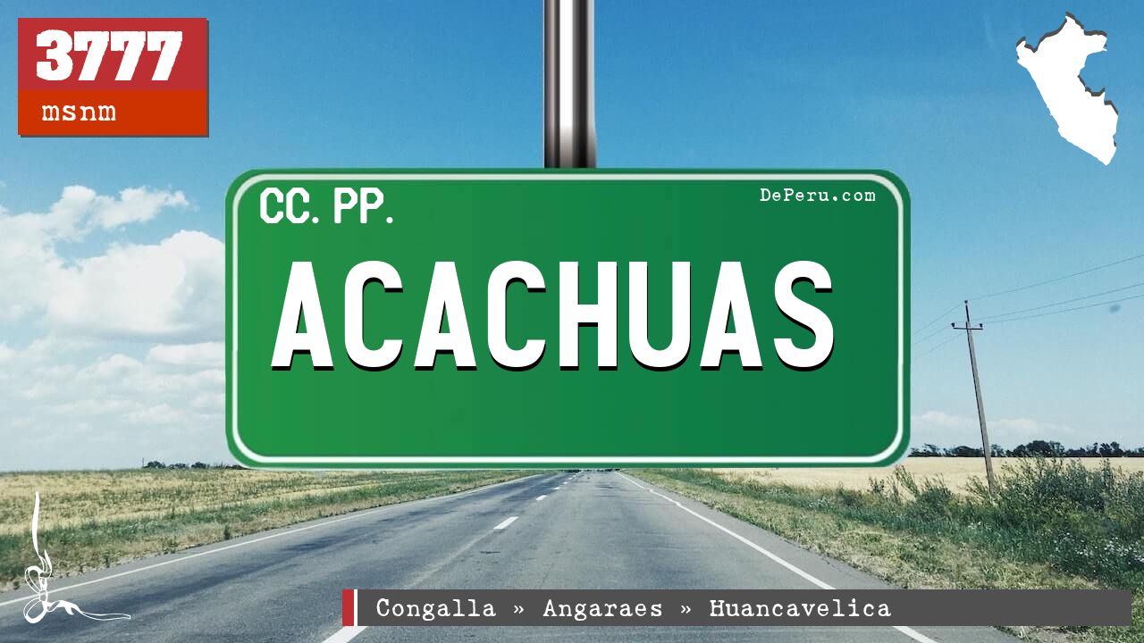 Acachuas