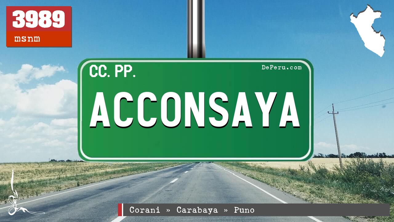 Acconsaya