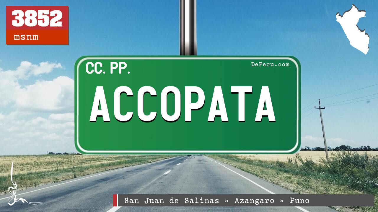 Accopata