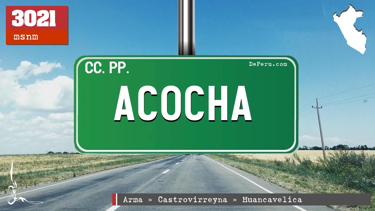 Acocha