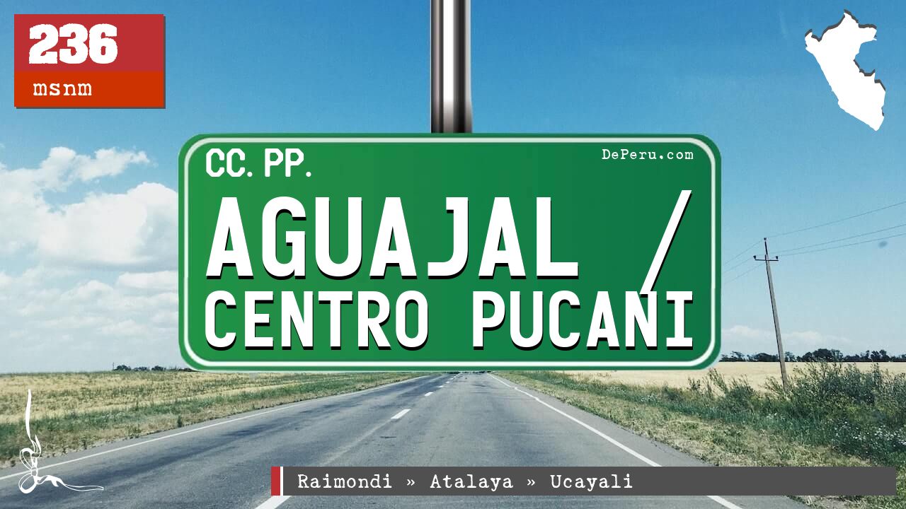 Aguajal / Centro Pucani
