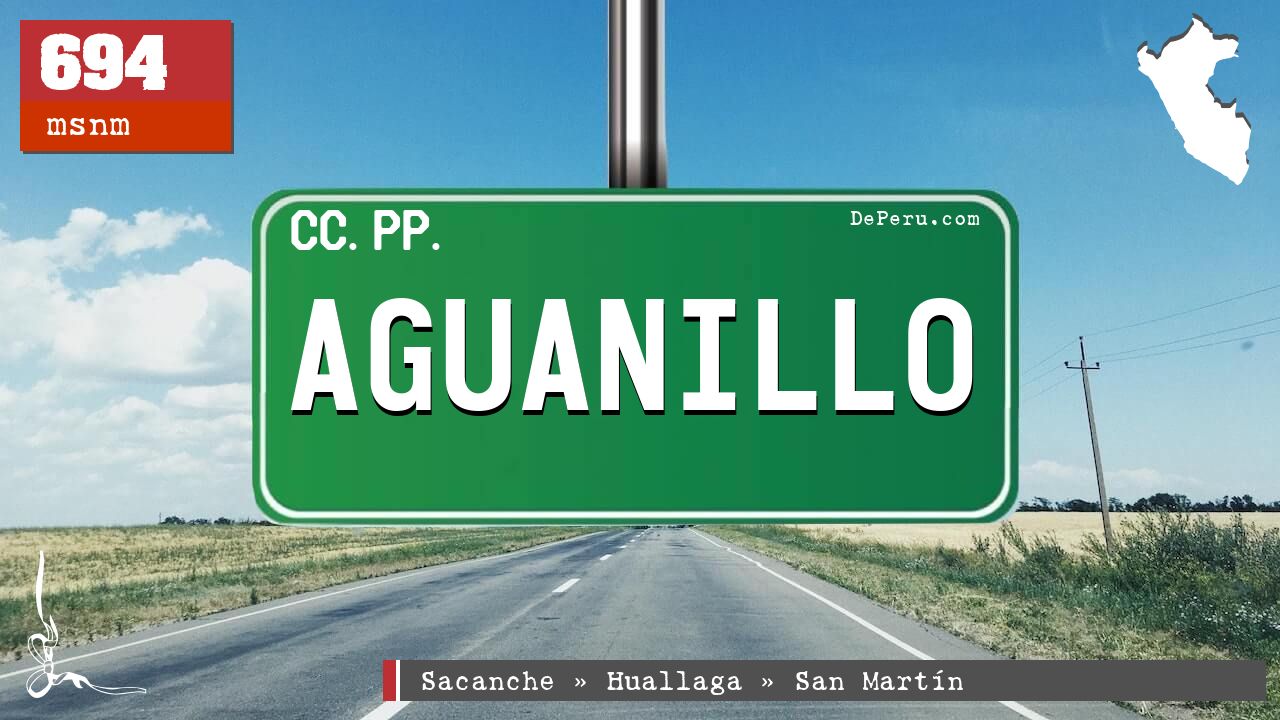 Aguanillo