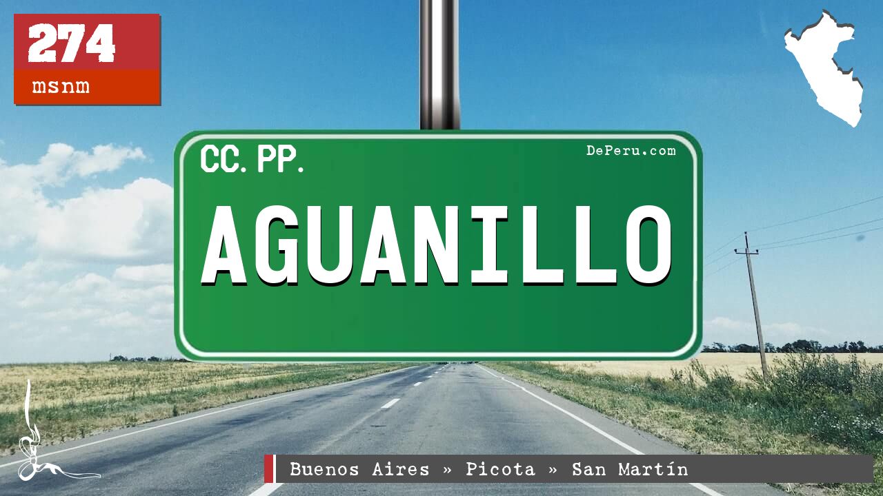 Aguanillo