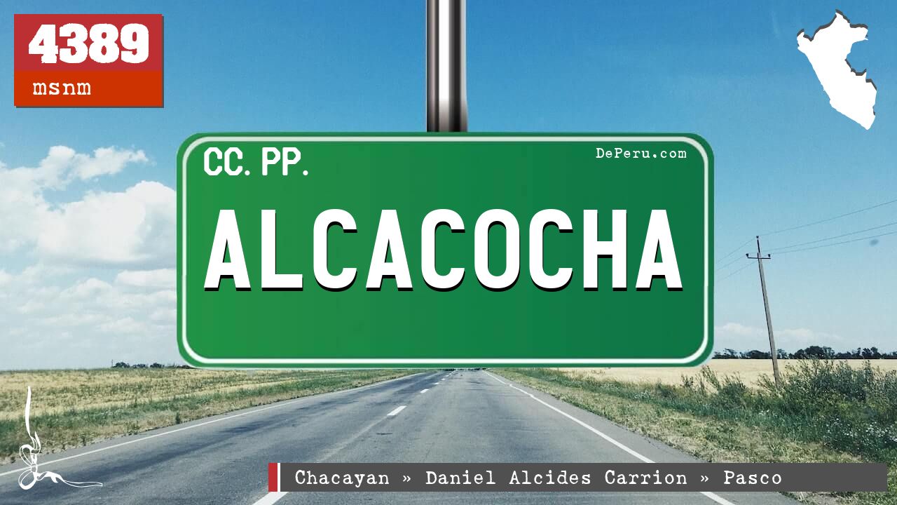 ALCACOCHA