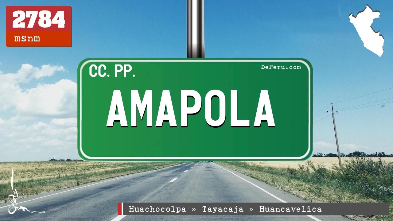 Amapola