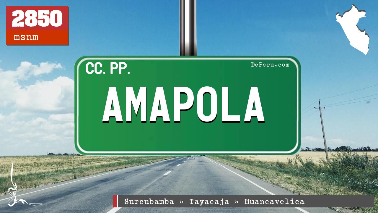 Amapola