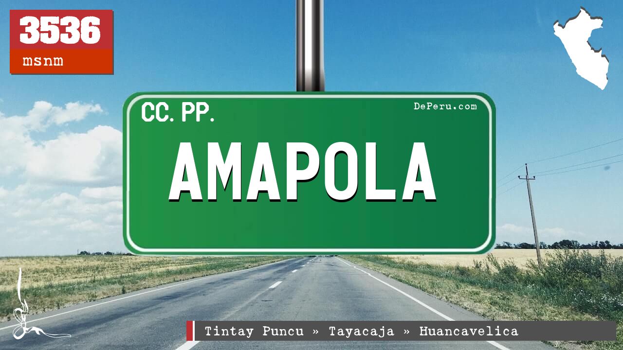 Amapola