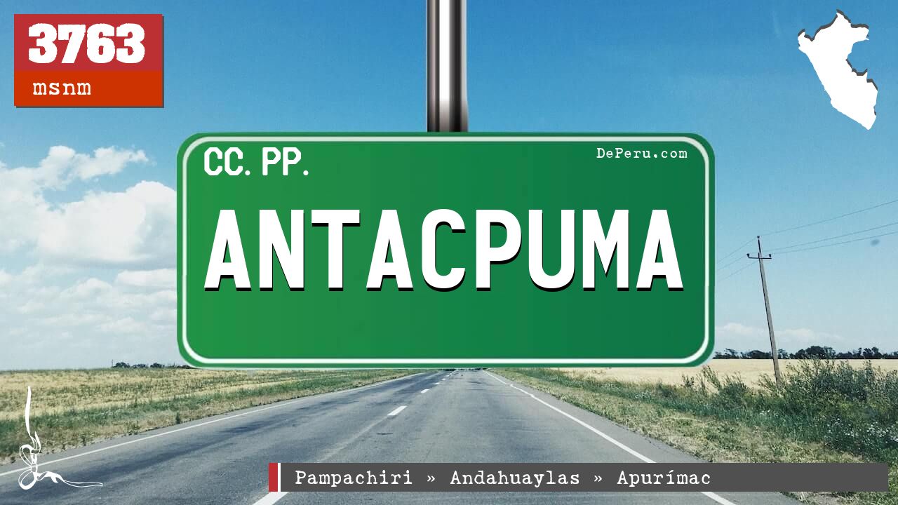 Antacpuma