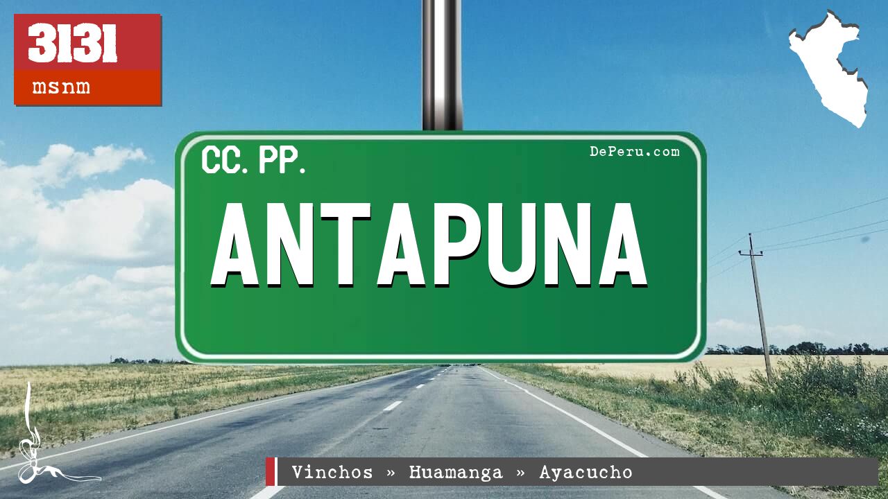 Antapuna