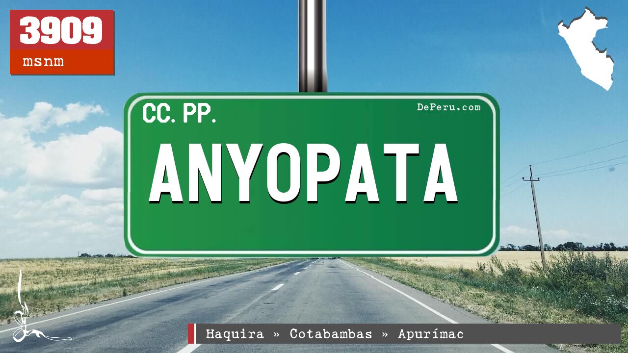 Anyopata