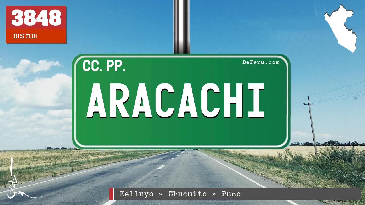 Aracachi