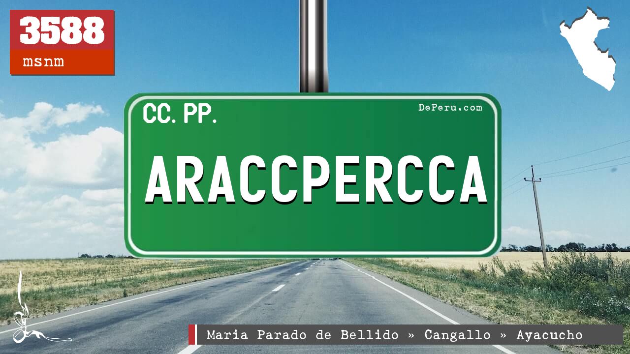 Araccpercca