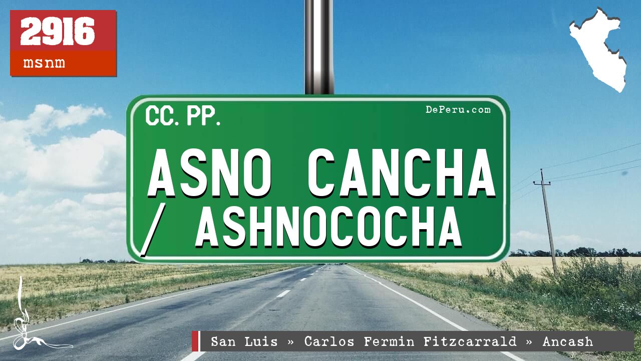 Asno Cancha / Ashnococha