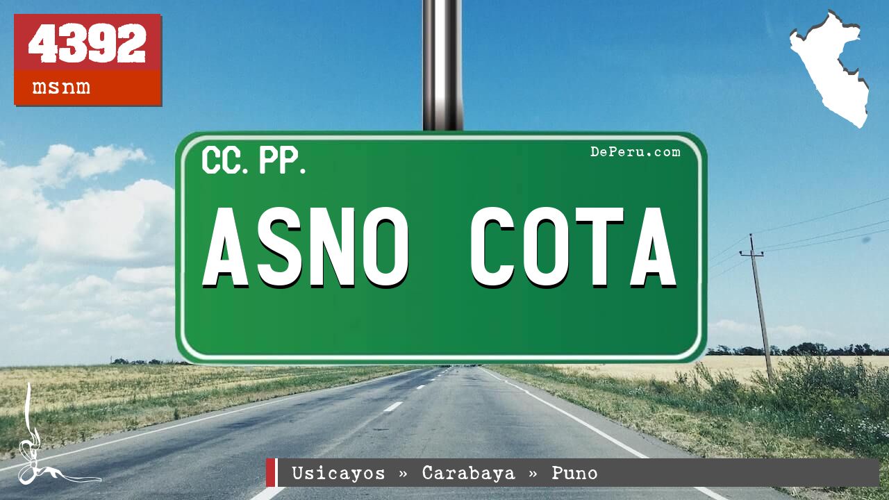 Asno Cota