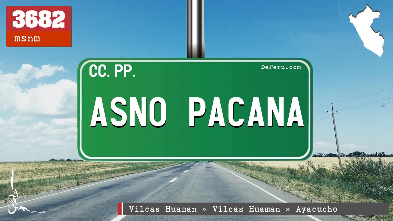Asno Pacana