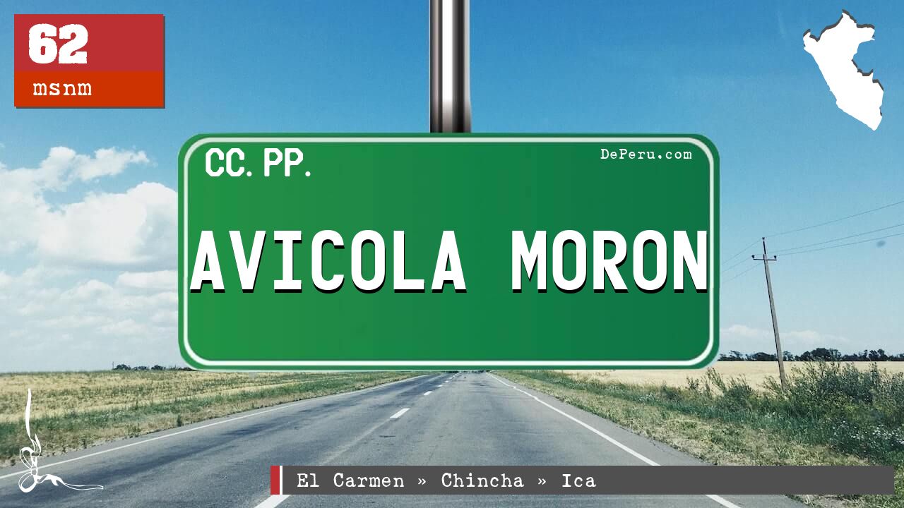 AVICOLA MORON