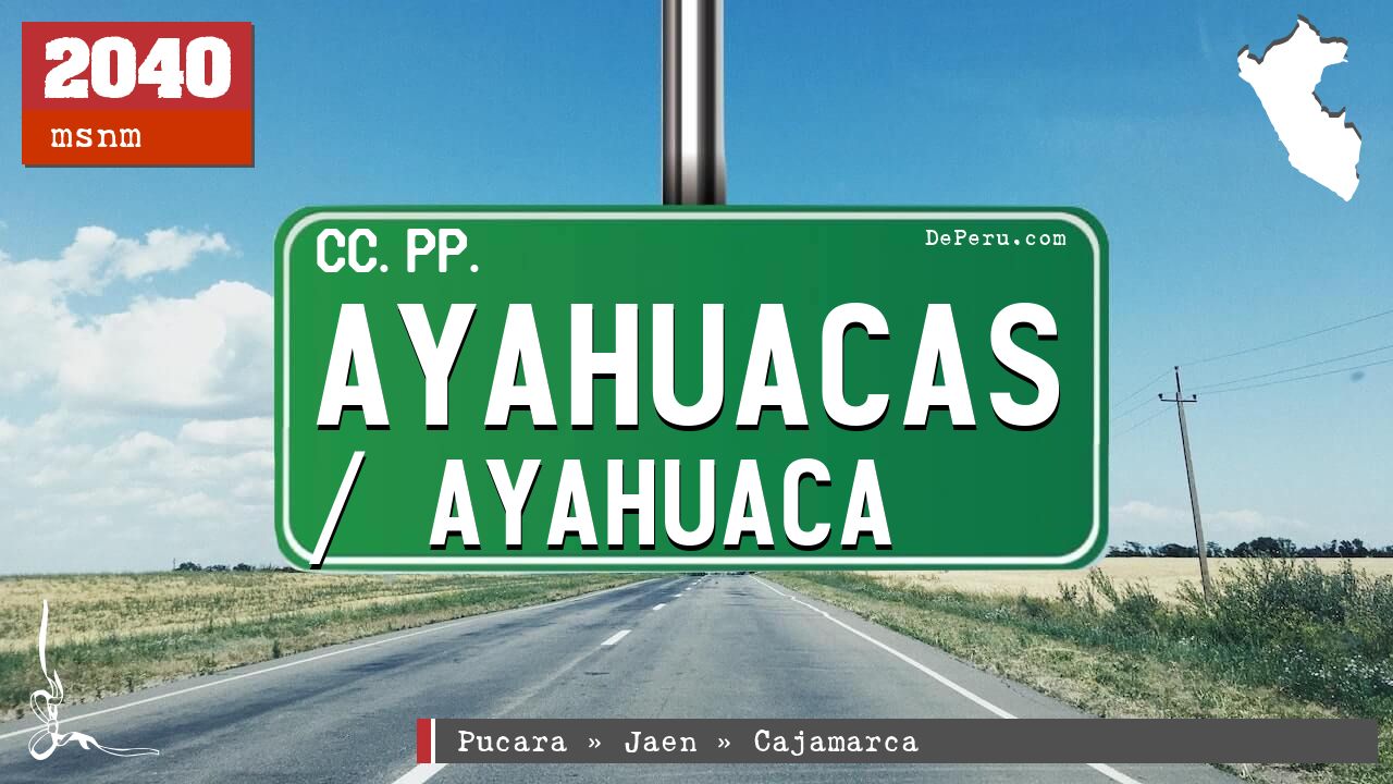 Ayahuacas / Ayahuaca