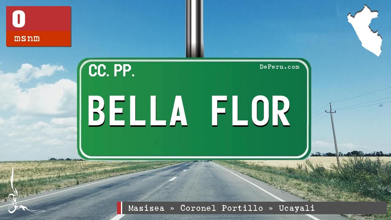 Bella Flor