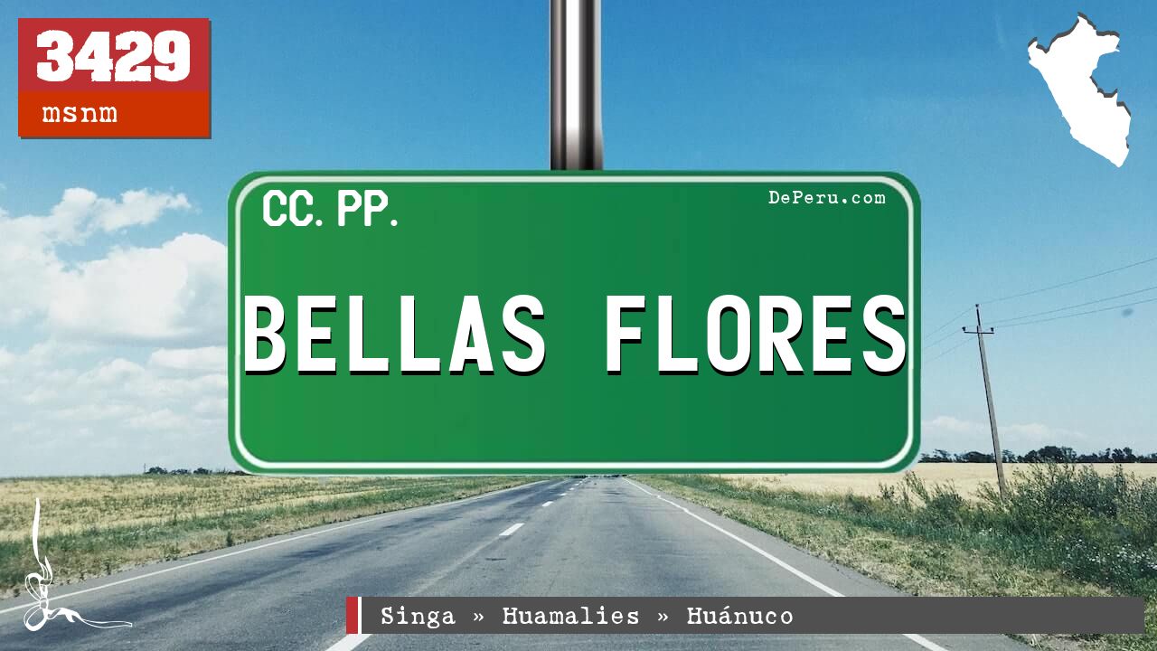 BELLAS FLORES