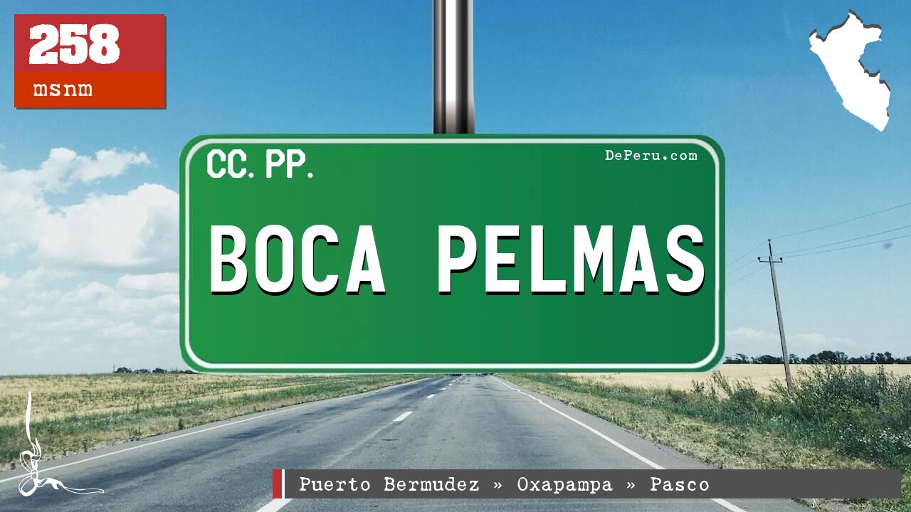 BOCA PELMAS