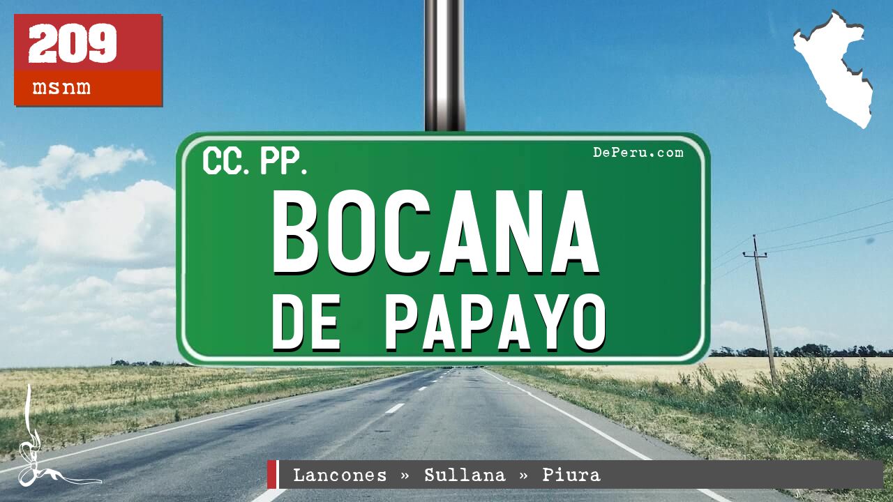 Bocana de Papayo