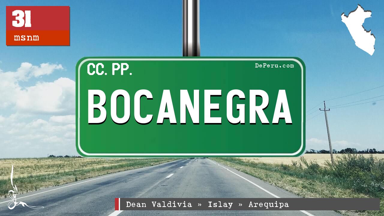 Bocanegra