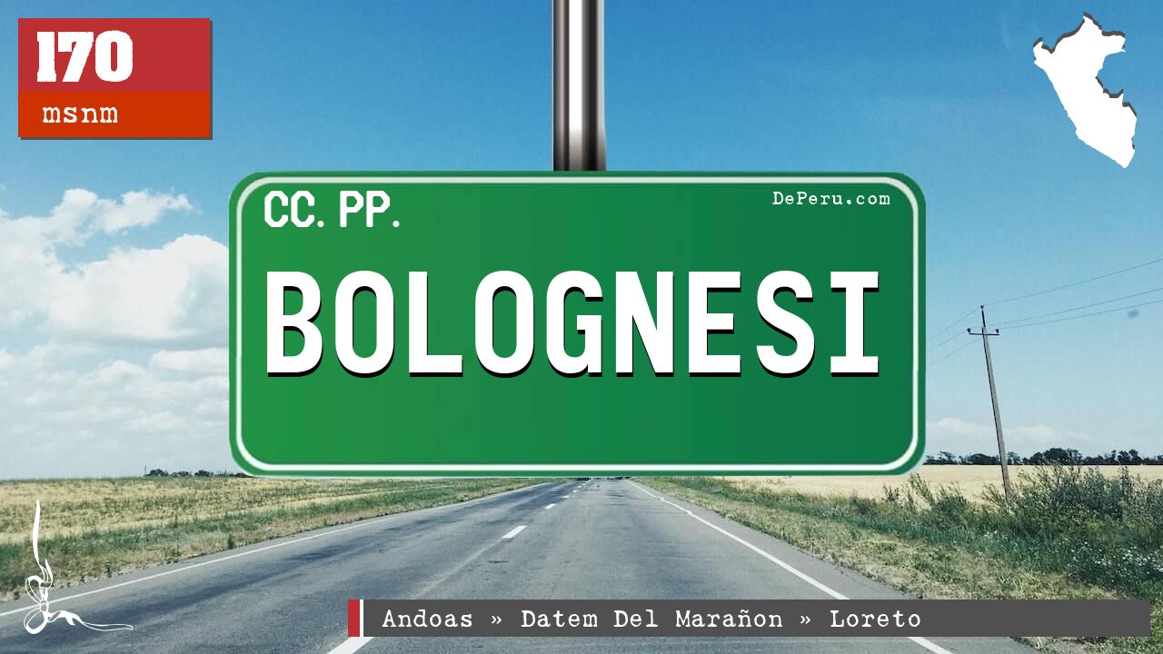 Bolognesi