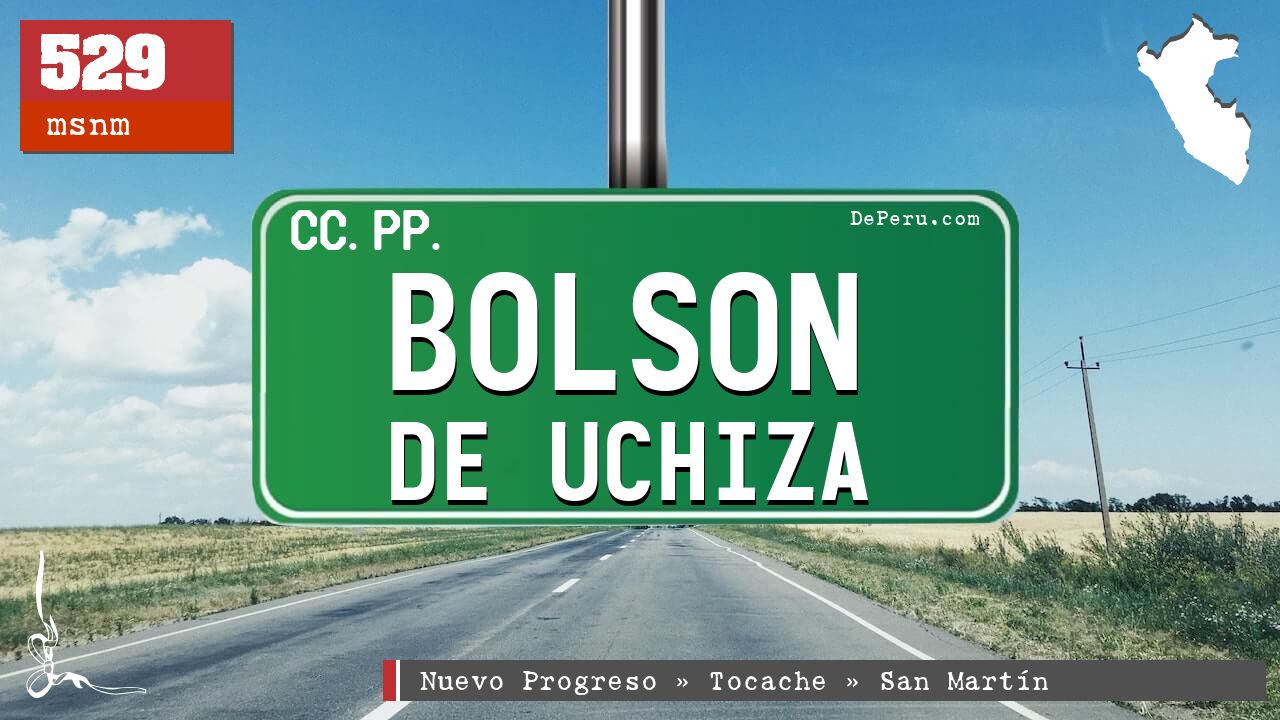 Bolson de Uchiza