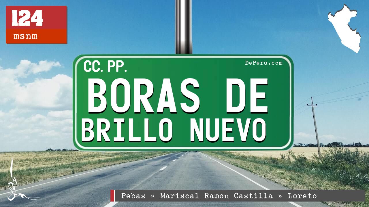 Boras de Brillo Nuevo