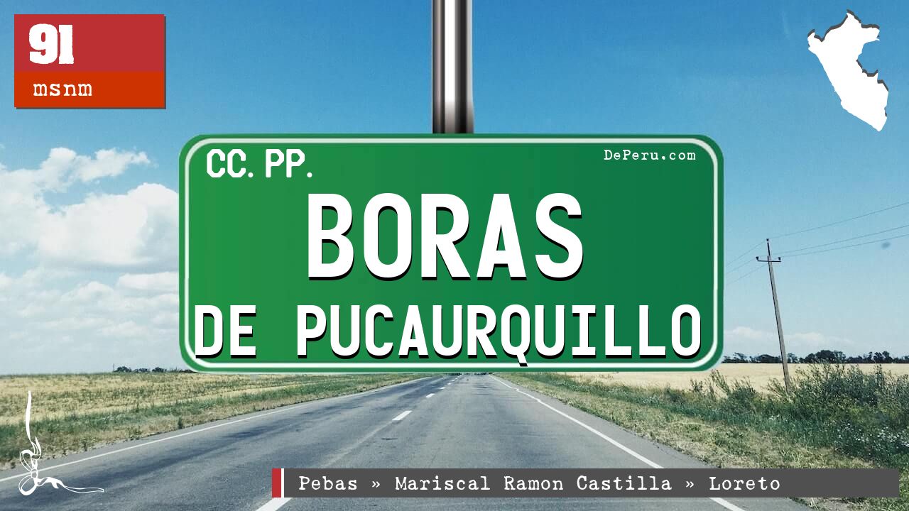 Boras de Pucaurquillo