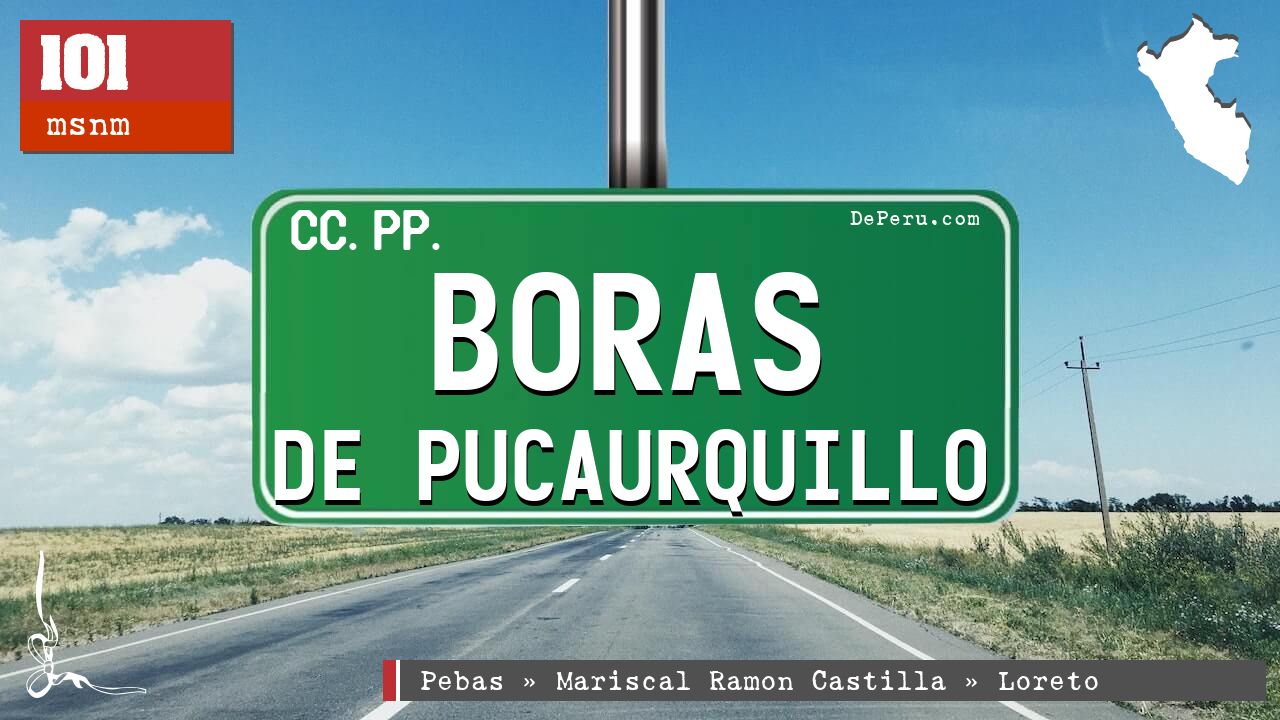 Boras de Pucaurquillo