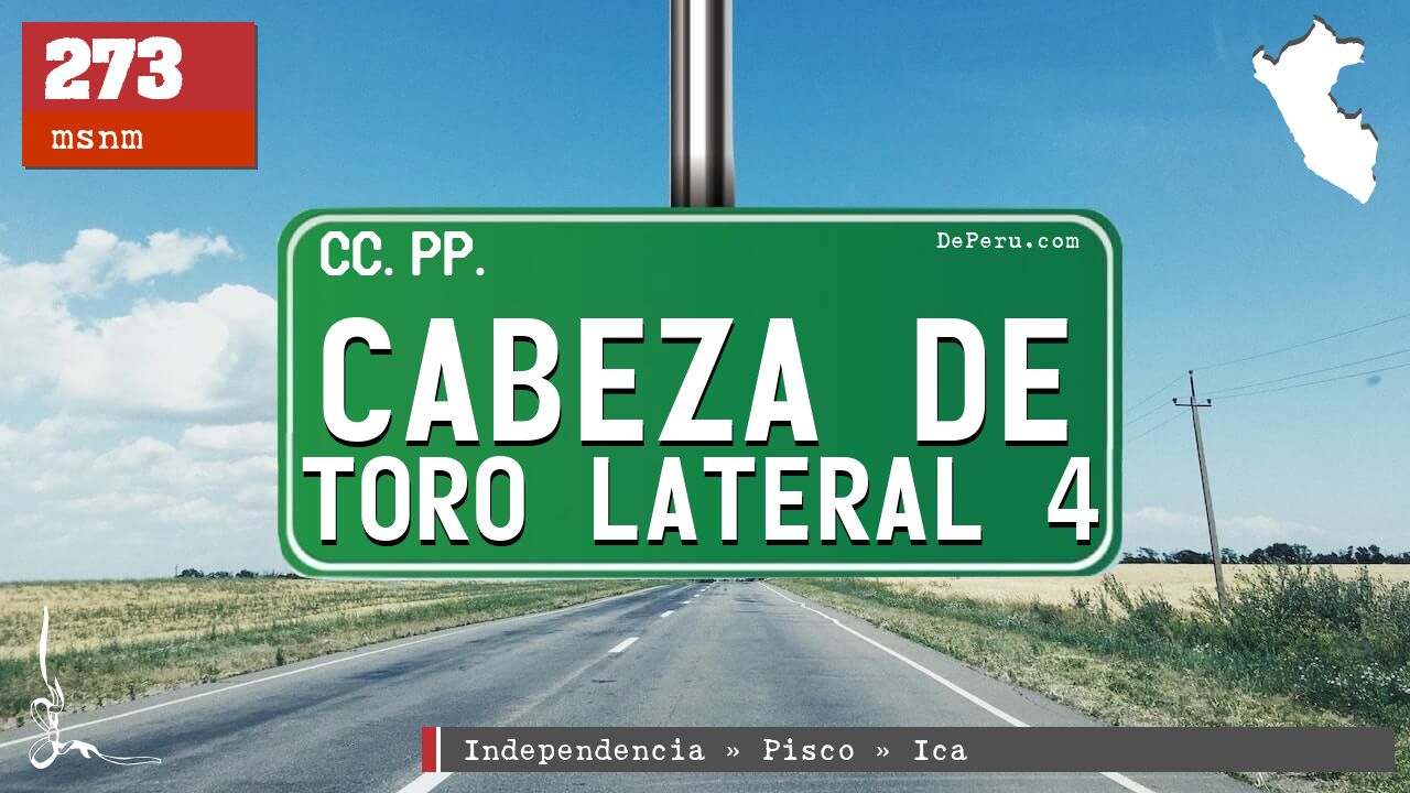 CABEZA DE