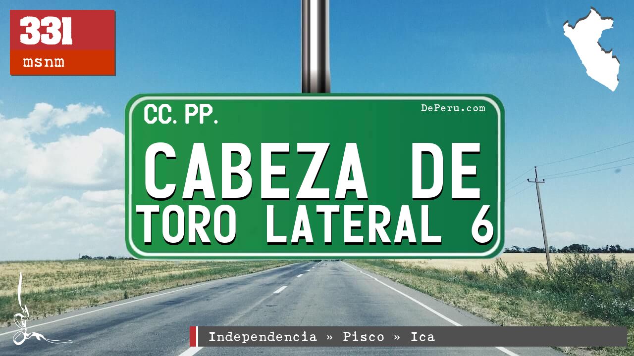 Cabeza de Toro Lateral 6